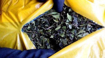 арестувани австралия трафик дрога 144 млн долара