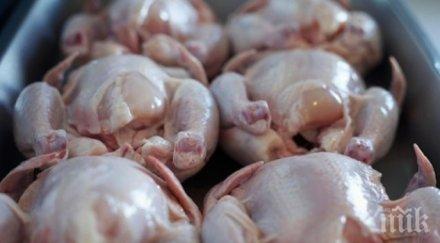 мащабна акция прокуратурата данс проверяват продават черно лудогорско пиле