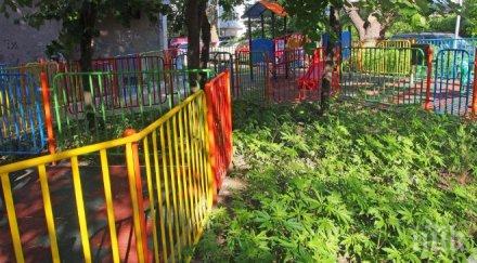 знаете веселата градинка варна