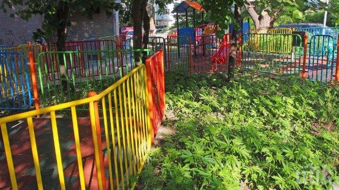 Знаете ли за „веселата“ градинка във Варна...