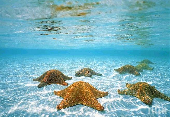 Полагат 6600 км интернет кабел по дъното на Атлантика