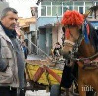 Напрежение в Сливен! Роми се вдигат на бунт-забраняват им каруците