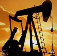 Терористи са нападали петролни обекти в Южна Нигерия