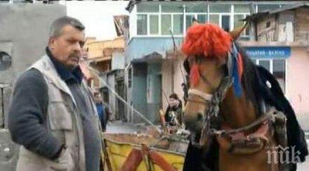 напрежение сливен роми вдигат бунт забраняват каруците