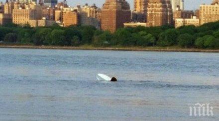 изтребител втората световна война падна американската река хъдсън