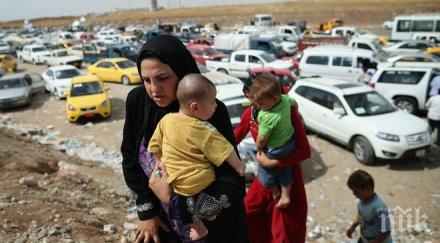 хора ядат трева умрат глад окупирания ислямска държава иракски град фалуджа