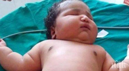 годишна роди дебелото момиченце света