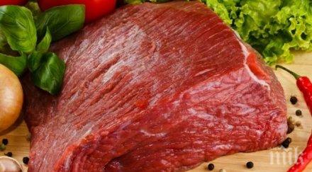 без паника телешкото турция ставало