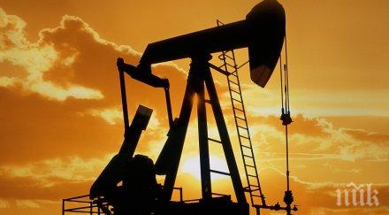 терористи нападали петролни обекти южна нигерия