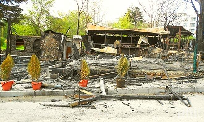 След 4 години ще разследват смъртта на премацания от кестен в Бургас