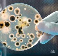 5 неочаквани източници на микроби 