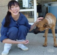  Директор на приют за животни взе ужасно решение, за да спре евтаназията на кучета! Тя има послание до всички!!! 