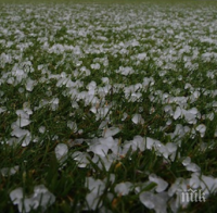 Градушка удари Монтанско през нощта