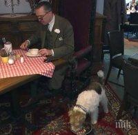 Хит в Швеция! Ресторант предлага меню за кучета