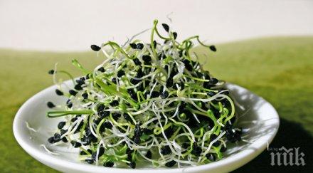 непознатите вреди познатите храни