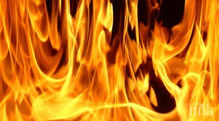 изплуваха страшни разкрития убийството потресло априлци ромите налагали старец прътове запалили жив