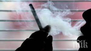 световен ден без тютюн