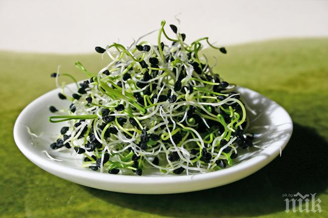 Непознатите вреди от познатите храни