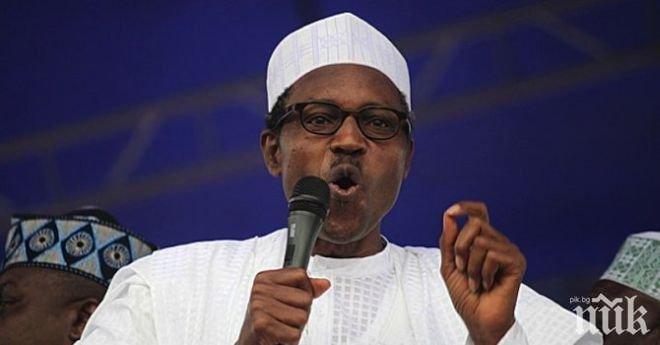 Нигерийският президент ще посети делатата на река Нигер