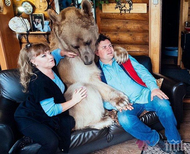 Преди 23 години този мечок става част от тяхното семейство, невероятна история!
