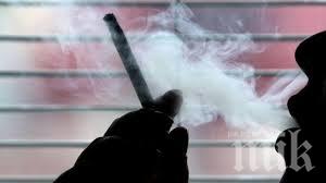 Днес е световен ден без тютюн
