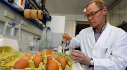 германия разследва измама органични яйца