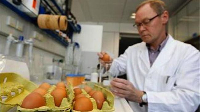 Германия разследва измама с органични яйца