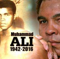 Почина легендата на бокса Мохамед Али