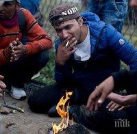 В Германия задържаха трима подготвящи атентати джихадисти 