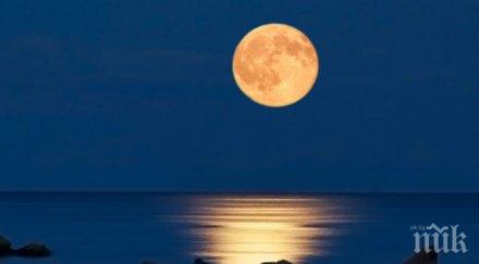 петък трайте каквото става