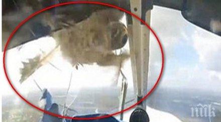 малък самолет разби тайван загинаха трима пилоти