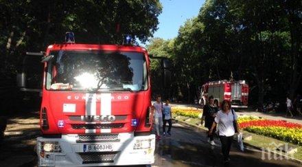 пожар горя апартамент пловдив