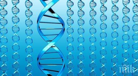 опитват създадат изкуствен човешки геном