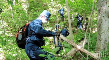 чудо годишно японче оцеля седмица гората