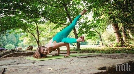 щерката илия павлов връща българия