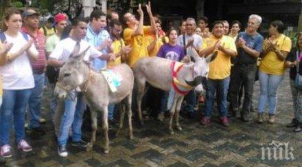 страхотия венецуела бият улиците храна