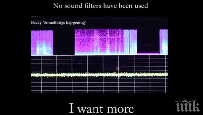 Ловци на привидения записаха разговор с духове (ВИДЕО)