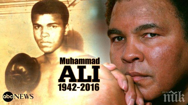 Почина легендата на бокса Мохамед Али