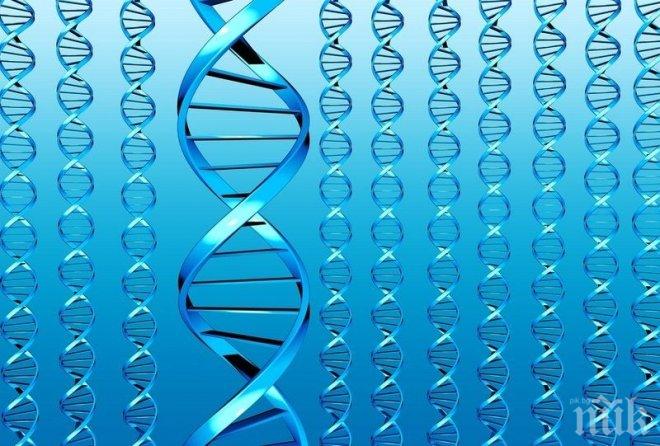 Опитват се да създадат изкуствен човешки геном