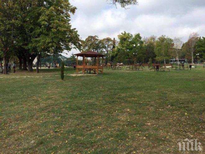 НАП отчете 7 нарушения и един запечатан обект при проверки в градинките и парковете на София 