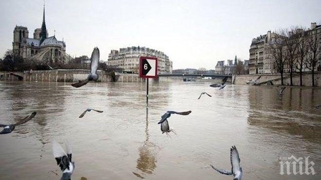 Парижки музеи затварят врати, след като река Сена достигна най-високото си ниво за последните 30 години