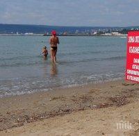 Ивелина Василева: Няма критични замърсявания по морето