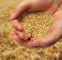 Доклад на БАН: 1.5% от фермерите държат 82% от земеделската земя