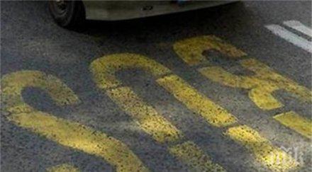 нервите ядосан пловдивчанин издържаха снимка