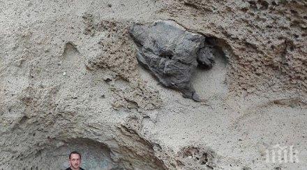 сензационно гигатски каменни фигури костенурка змия открити българско село минути път границата гърция