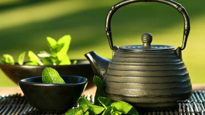 Антиоксидант от зеления чай помага на хора със синдром на Даун