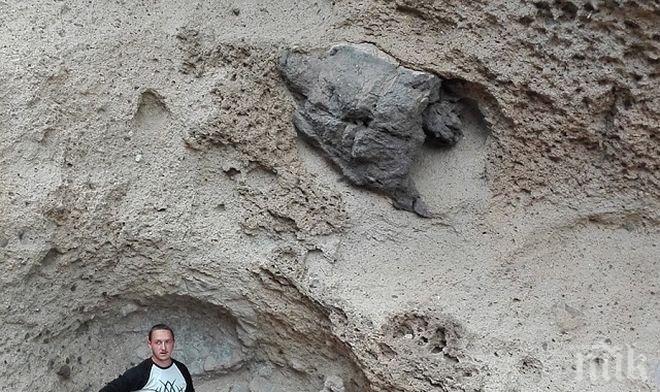 Сензационно: Гигатски каменни фигури на костенурка и змия открити в българско село, на минути път от границата с Гърция 