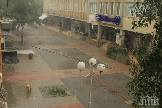 Порой удави Враца!