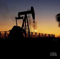 Русия се похвали, задминала Саудитска Арабия по доставки на петрол