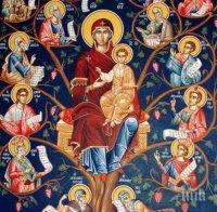 Имен ден днес празнуват...